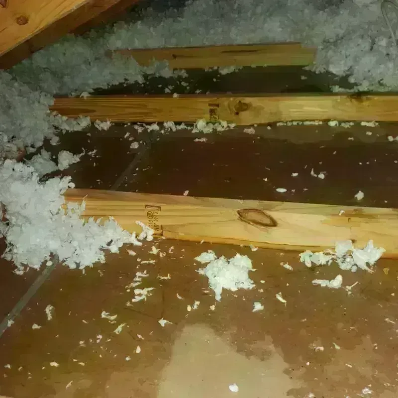 Attic Water Damage in Manila, AR