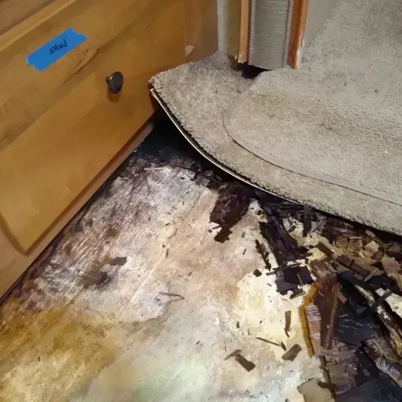 Wood Floor Water Damage in Manila, AR